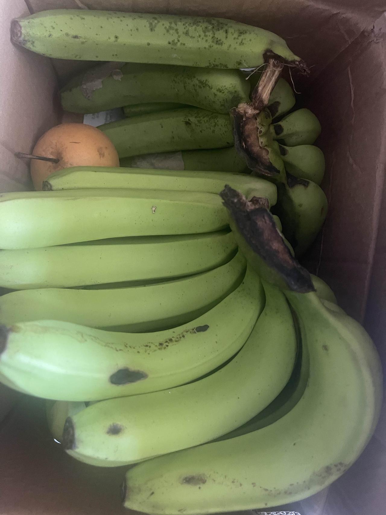秋日果蔬分选指南：鲜采与存储的实用法则秋日果蔬丰饶，但品种繁多、成熟度不一，