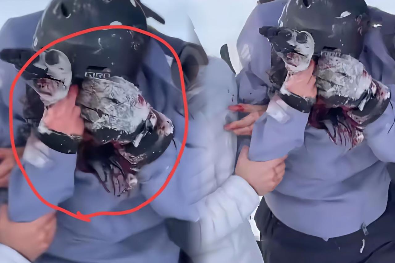 别把“无知”当“勇敢”！新疆雪豹伤人事件，真不是猛兽太凶，是人类踩破了敬畏的