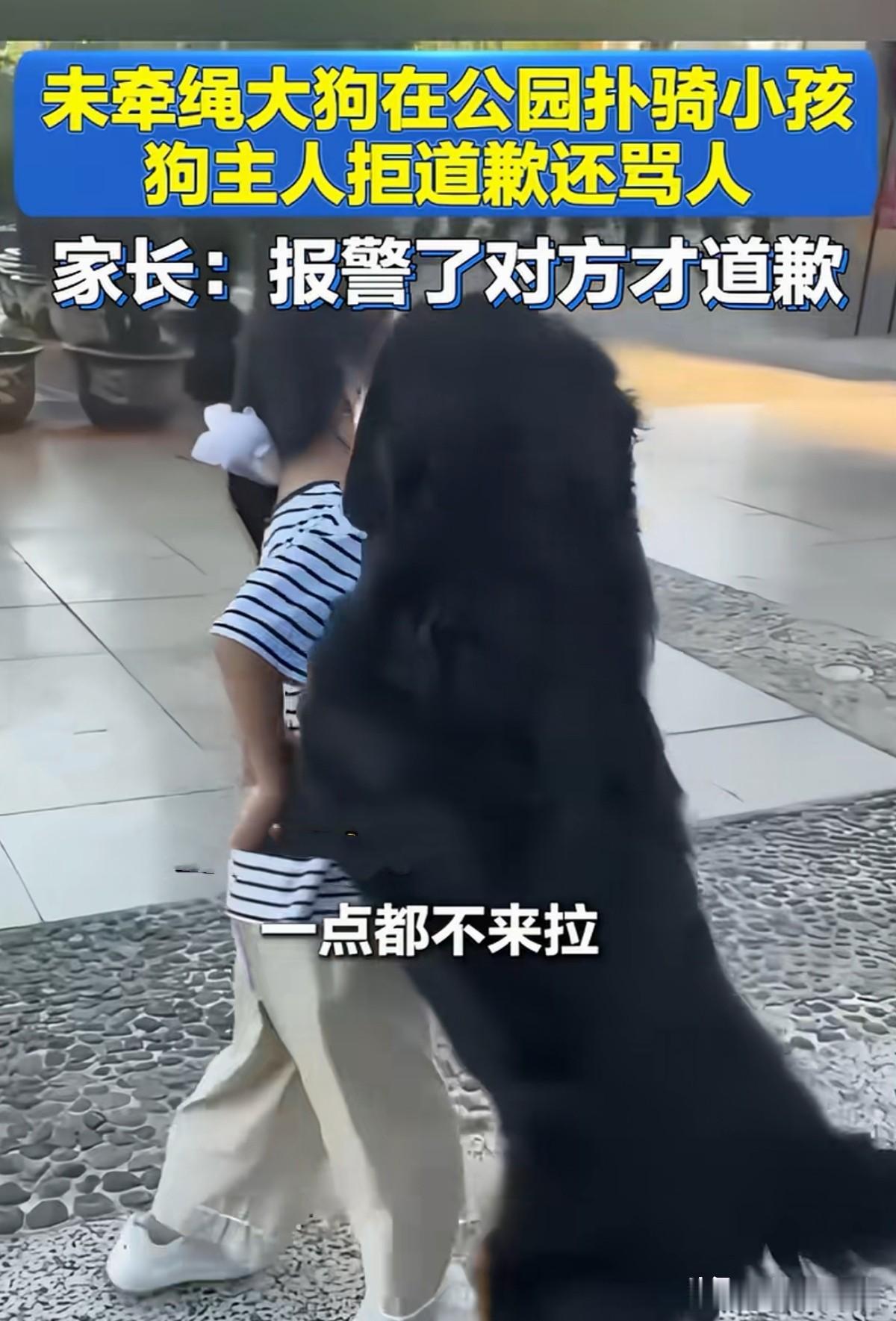 云南玉溪，33岁女子带8岁女儿去公园跑步，突然一条未牵绳的大黑狗从身后扑抱，女孩