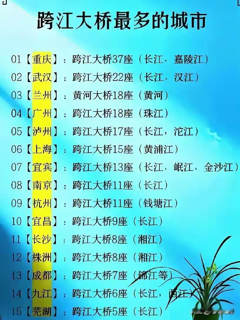 我国跨江大桥最多的城市排名你的家乡上榜了吗？说实话实说，这些大桥每一座投资造价