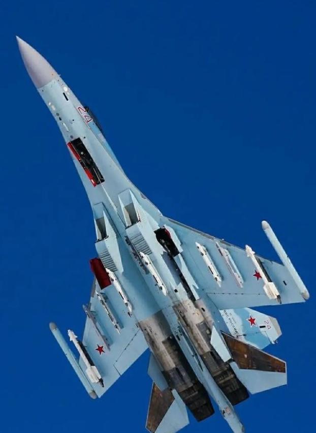 24架苏-35该怎么处理，现在成了一个让我方人头疼的问题，只要我们松口，俄罗斯，