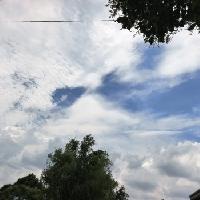 邻居大哥梗了，每天在家不是睡觉就是看电视。邻居大哥70多岁了，生病前就和个