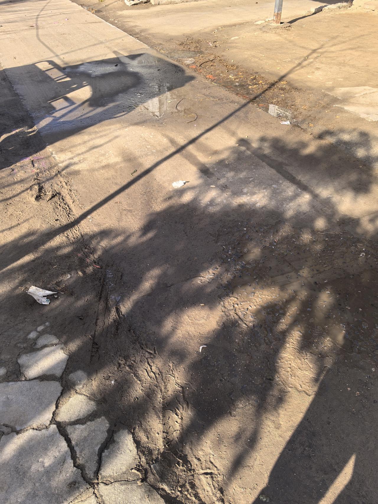 下雪不冷化雪冷，哪儿哪儿都是泥😓😓(￣ェ￣;)