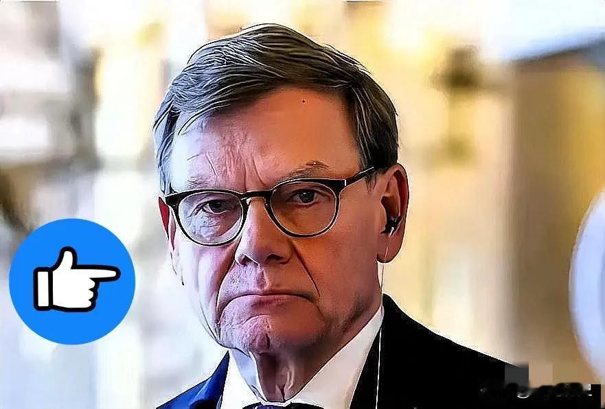 德国外长在稀土问题上与中国硬刚。他放话说，德国稀土用在什么地方不关中国事！那确实