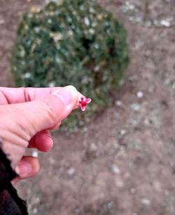 一个妇科医生朋友，跟我说了句最扎心的大实话妇科医生朋友这话，可算是说到绝