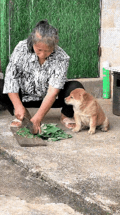 哈哈，这下老实了吧[捂脸哭]