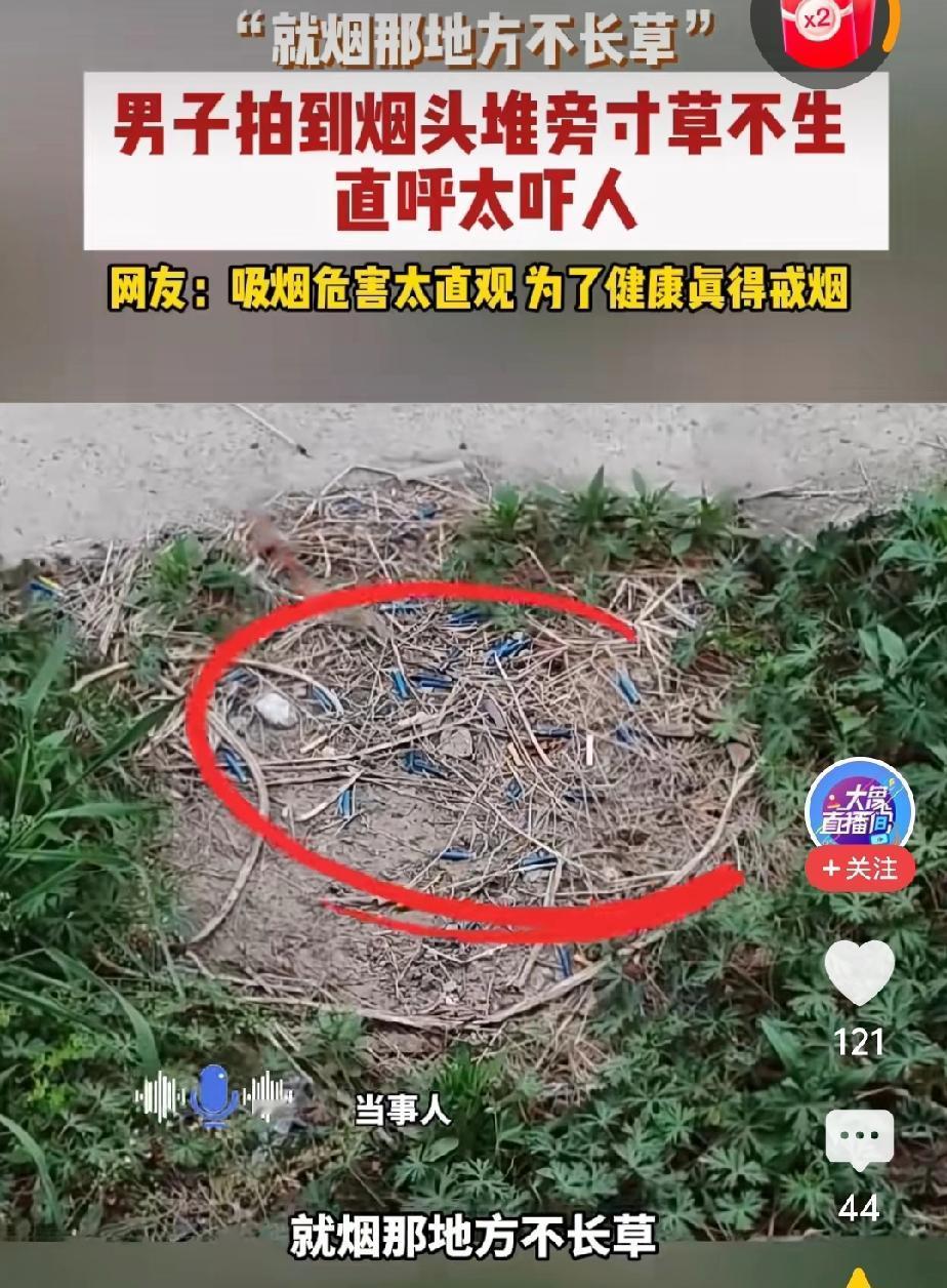 别人的说教永远都是耳旁风，只有自己亲身体会的东西，那才最真实。最近，一男子发