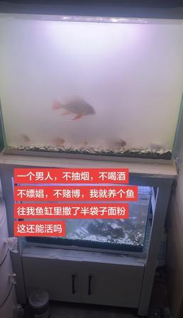 这件事真的看得我头皮发麻，感觉又好气又好笑。一位博主不抽烟不喝酒，就养鱼这么