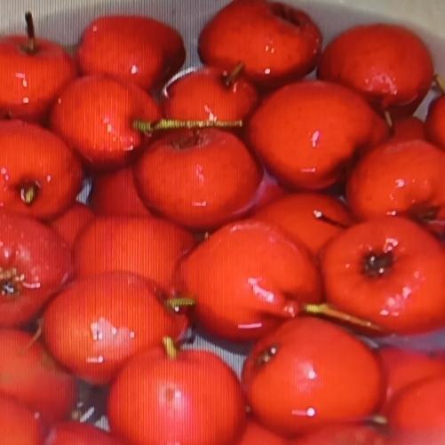 血管堵了别着急，试试通瘀茶！很多人以为山楂只是消食的“零食”，其实它在化瘀、疏通