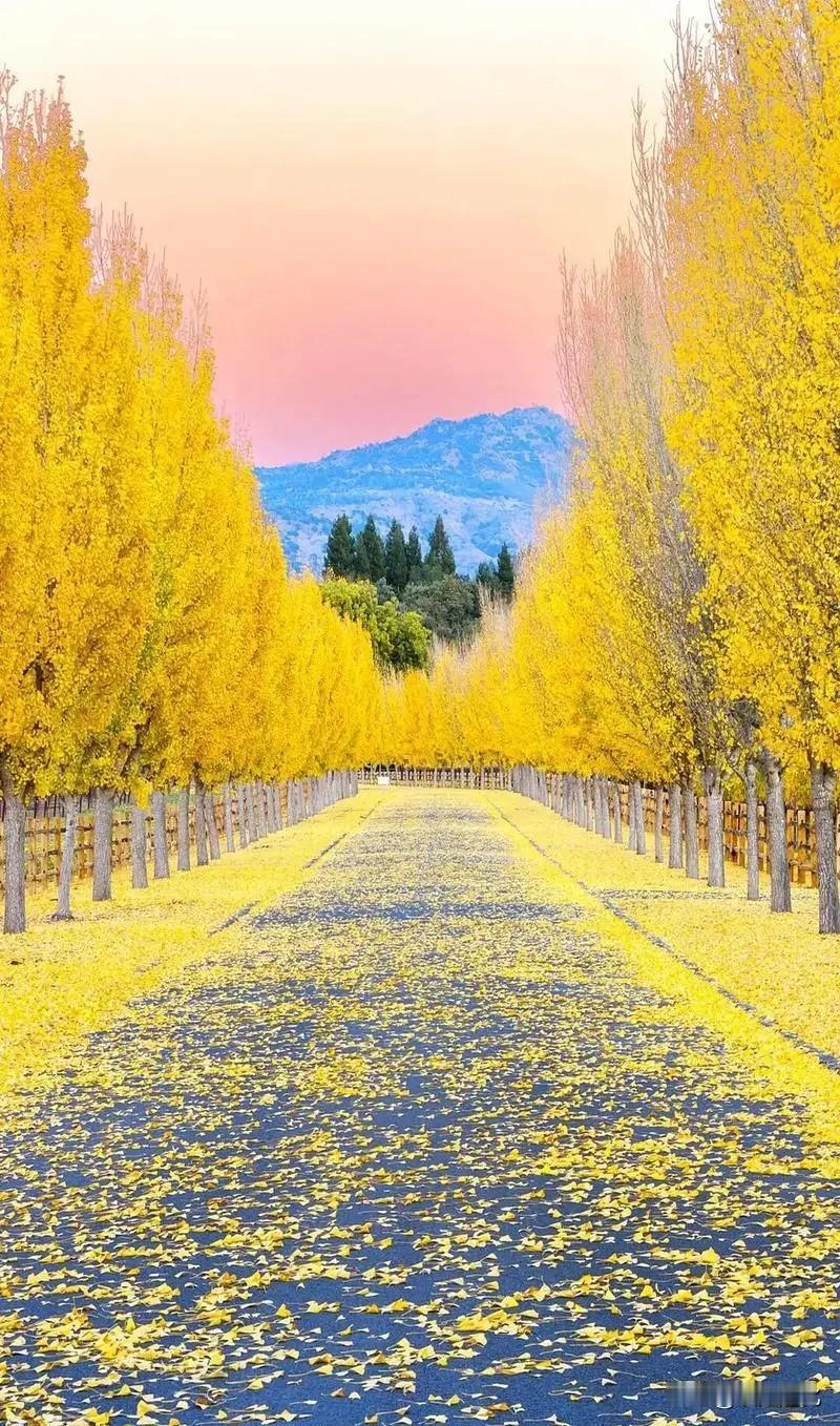 埃隆马斯克说：“如果你想成为一个强者，就必须在三到五年内，进行超乎寻常的锻炼，