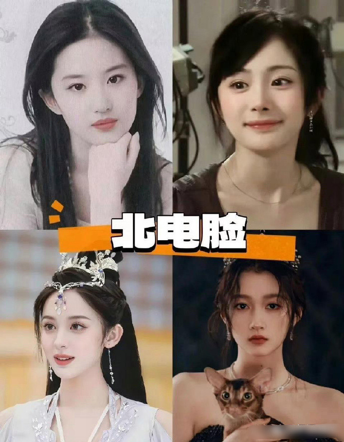 这就是中戏脸、北电脸和上戏脸啊?