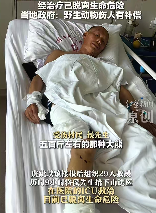 这就是命啊！”近日，香格里拉，一男子上山采药，结果撞到了一头500斤的黑熊，男子