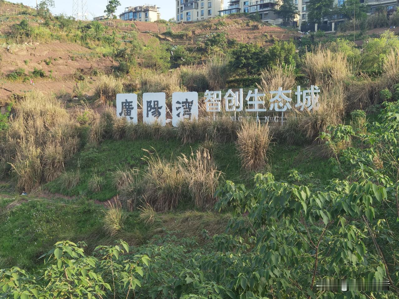 广阳湾智创生态城成功换道了曾经搞得热火朝天的南岸区广阳湾智创生态城建设已经告一