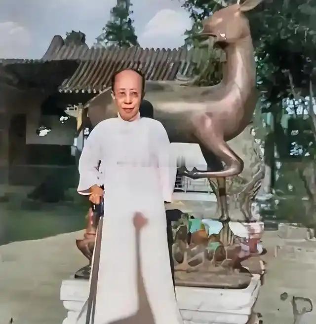 没写的袁大头五姨太，我这边先写一丢丢袁大头的五姨太历史上被称为“杨氏”。我没查到