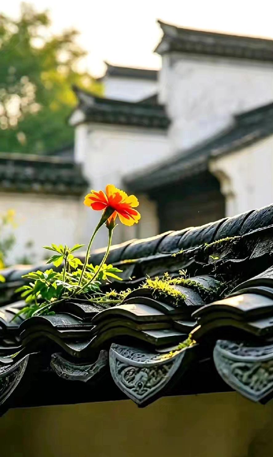 侄女儿今天跟我吐槽，说她每次和男朋友外出约会，她爸就一个劲儿地催她回家，真的是烦