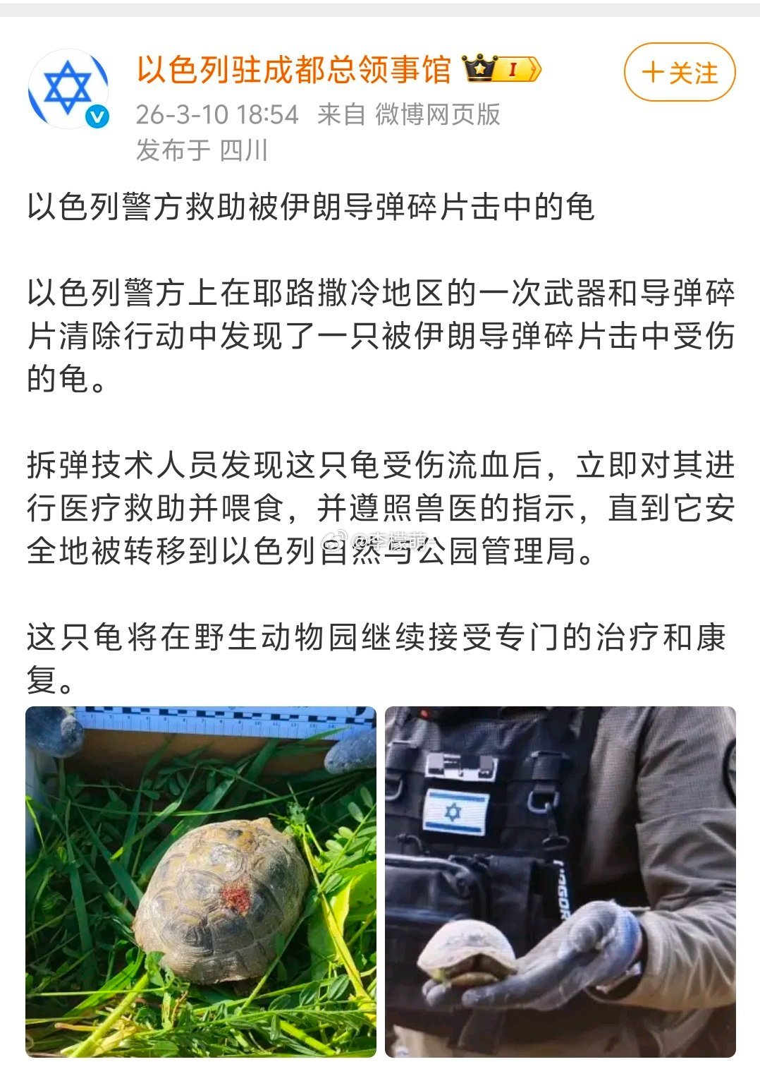 王八的命也是命？？