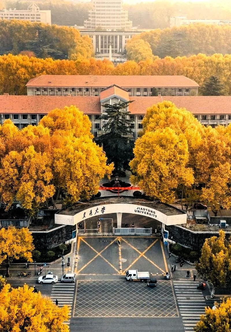 刚看到一个数字，直接给我干沉默了。西安交大，一万两千多名毕业生。你猜，出国深造