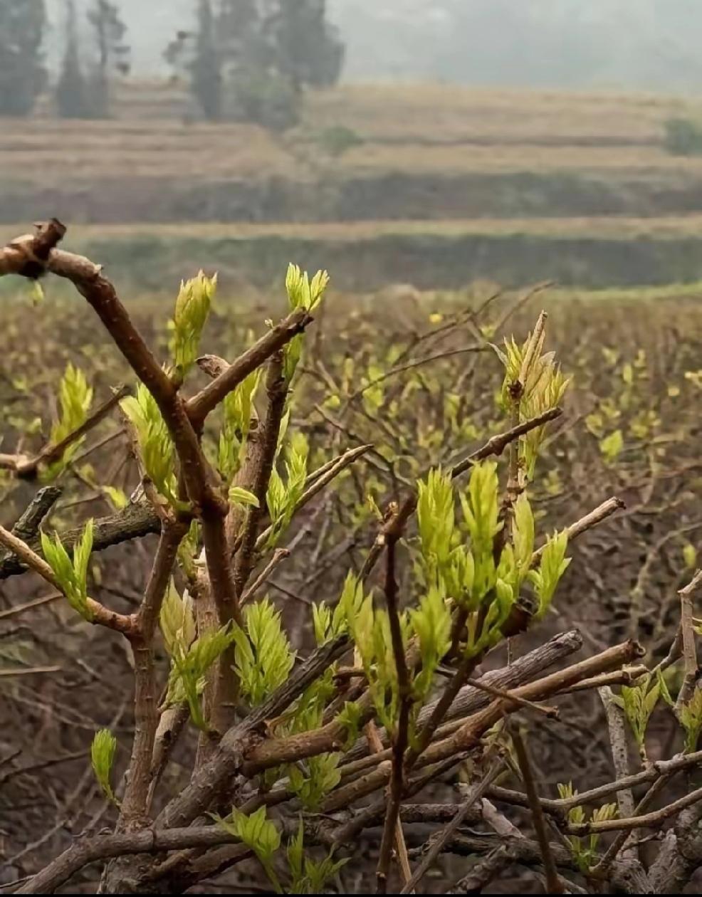 个人认为：一个人要是把关注力放在自己身上，那么便不会有这些烦恼。人走茶凉，不值一