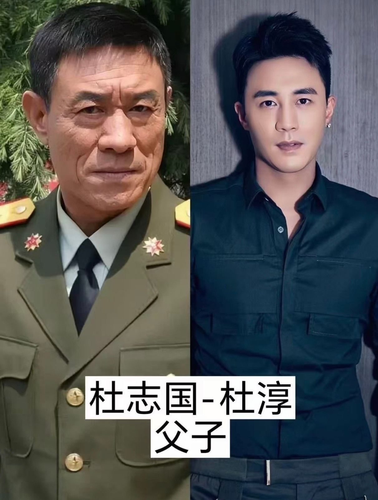 父亲没有儿子火的十对明星你都认识几个呢