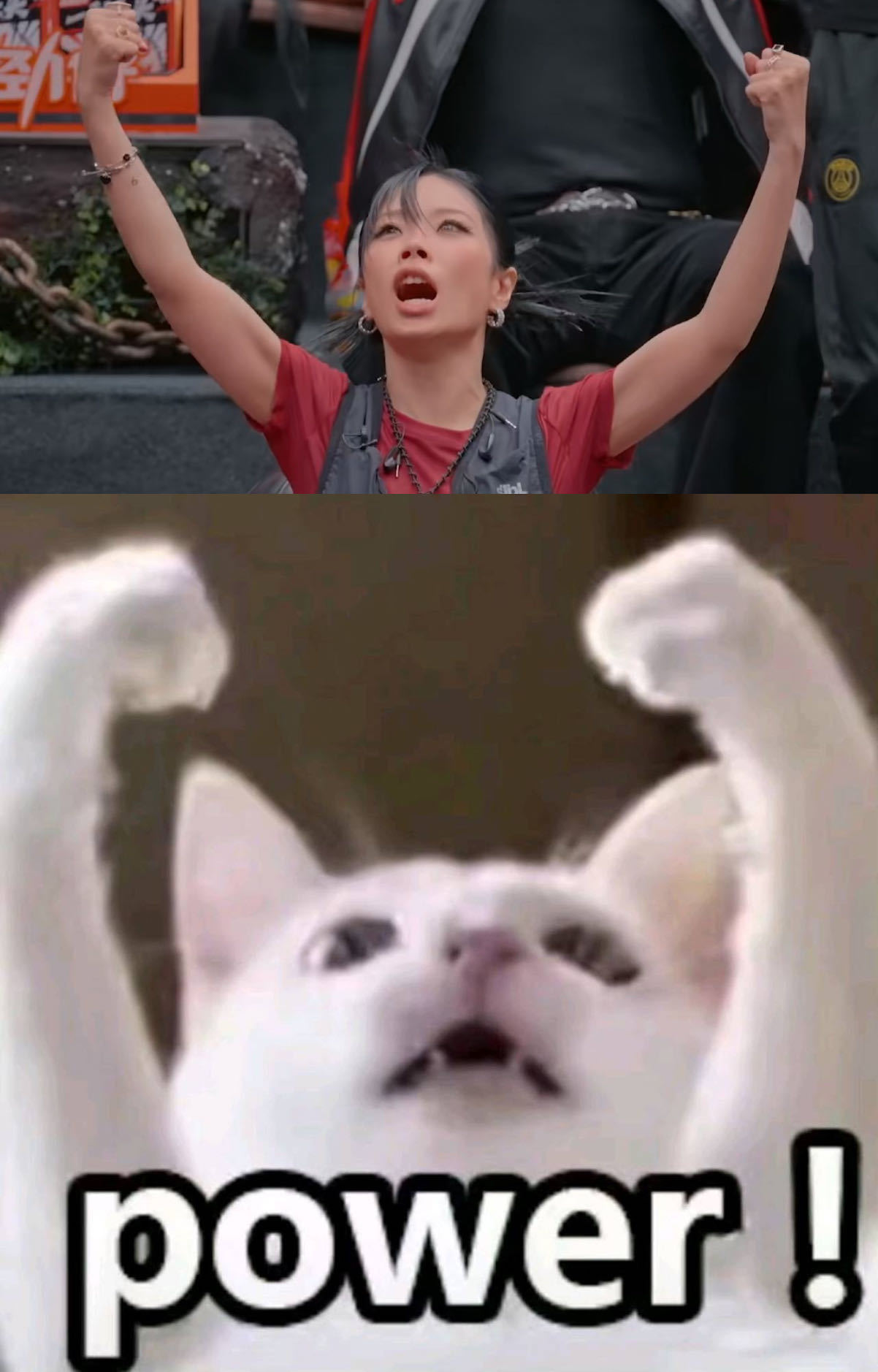 小猫塑万妮达的人简直是天才万妮达，你是一只可爱的小猫咪，是谁想到这个的[笑cr