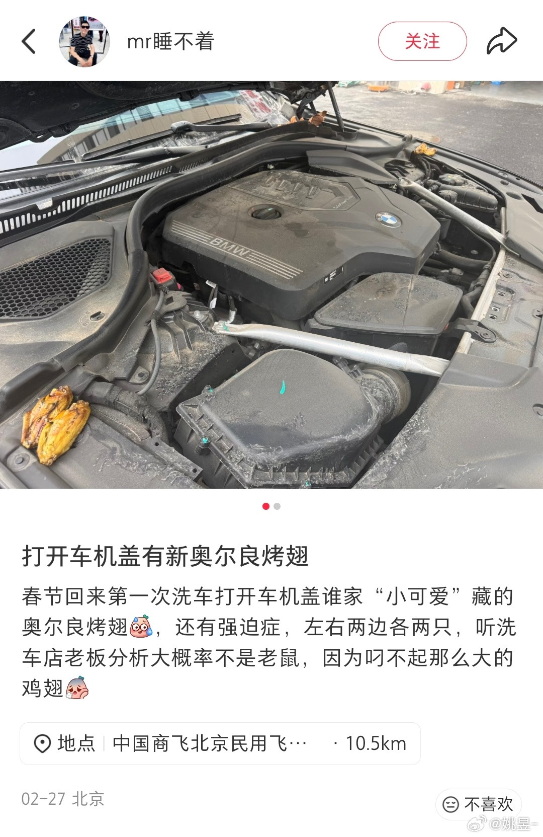 藏的还挺讲究，一边一对鸡翅评论区分析分析，会是什么小动物藏的？