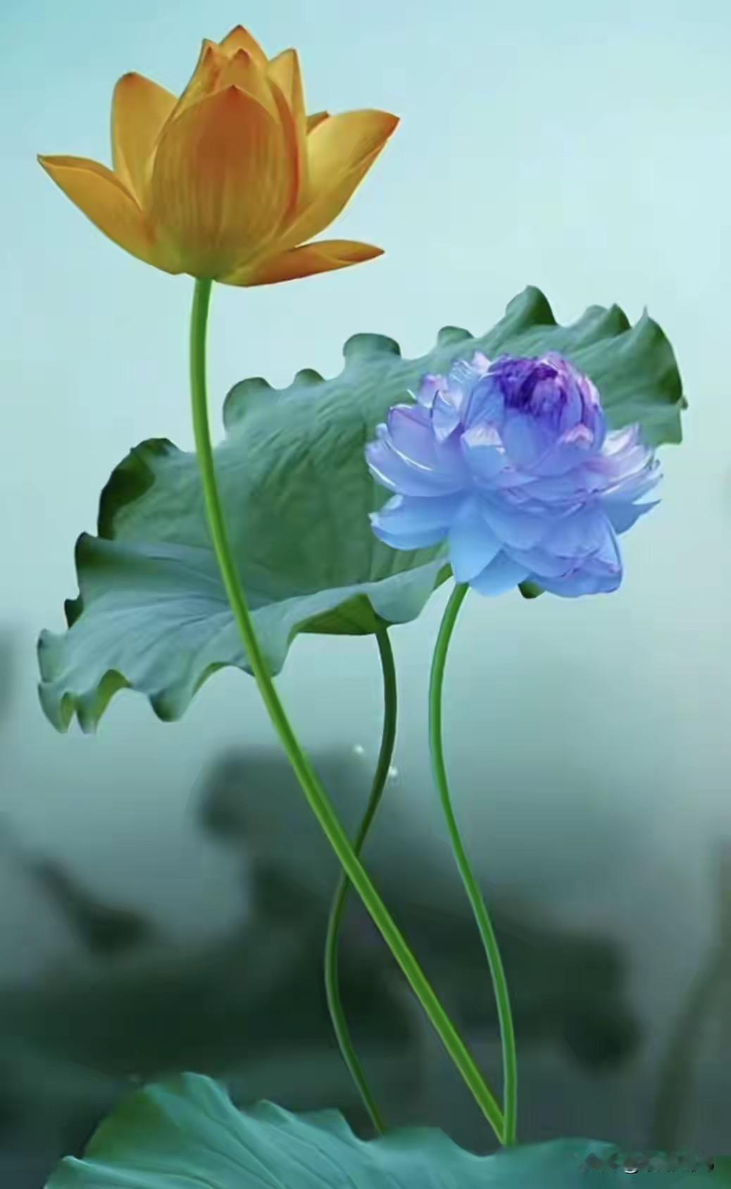 我为公司赚了16个亿，却在62岁被裁员，总裁在电梯里问我：下个季度的3亿目标怎么