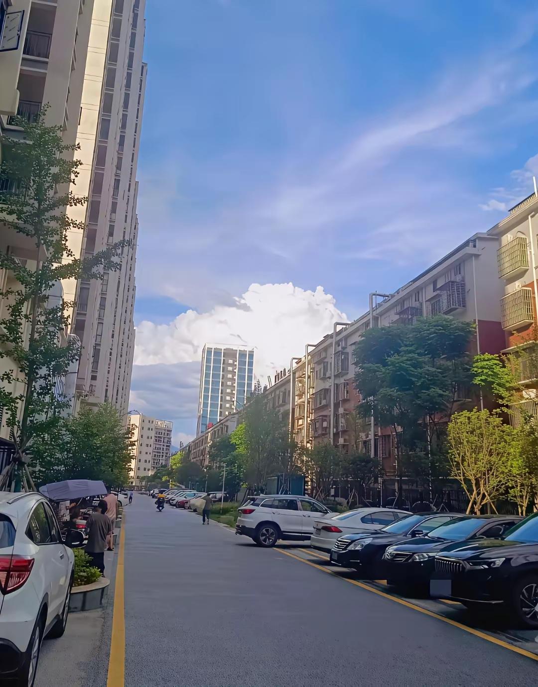 把俩孩子送回娘家才两天，我嫂子就把孩子给送了回来，直接跟我摊牌了，要么把孩子领走