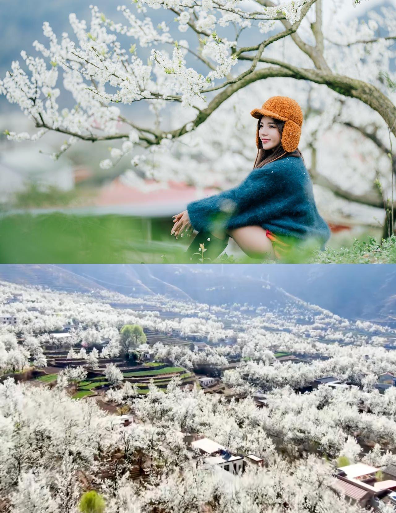 如果你问我春天最值得去的地方，我一定会说：金川。春季三月来川西，一定要去金川