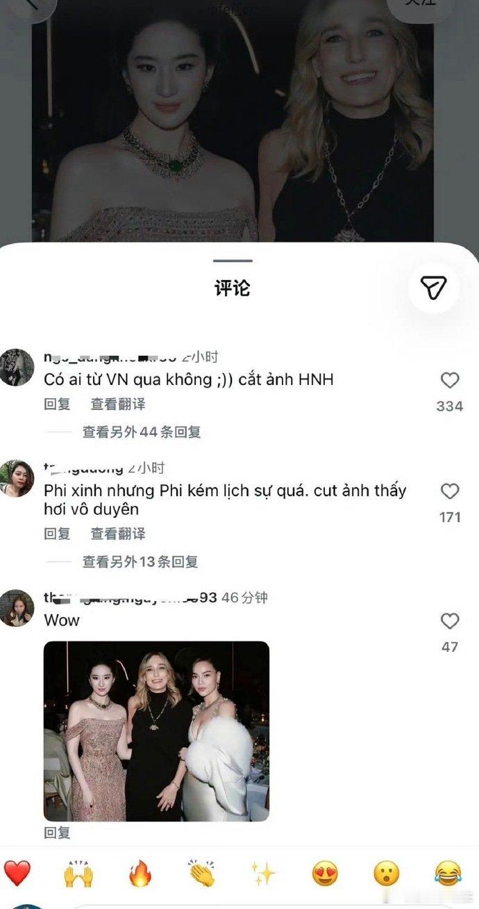 刘亦菲把越南女明星裁掉了刘亦菲外网口碑一张合照引发外网热议❗刘亦菲发布宝格丽晚