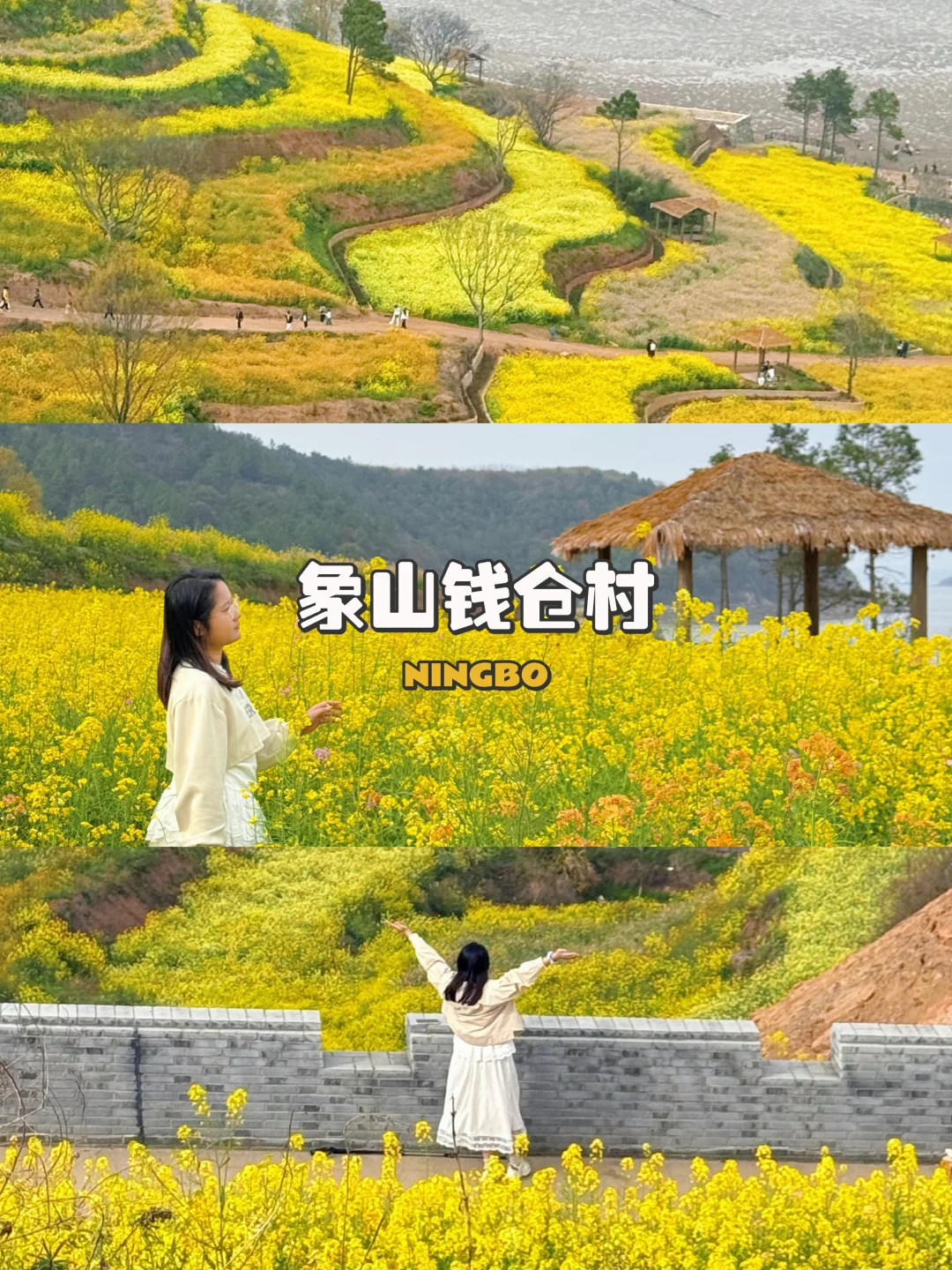 宁波的春天，藏在钱仓村的油菜花梯田里🌼