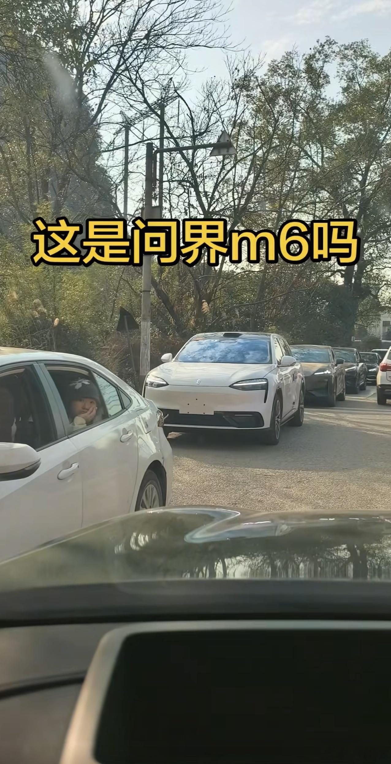 网友在路上拍到了无伪装的问界M6，甚至能看到大灯和尾灯的“星钻”细节，漂亮吗？我