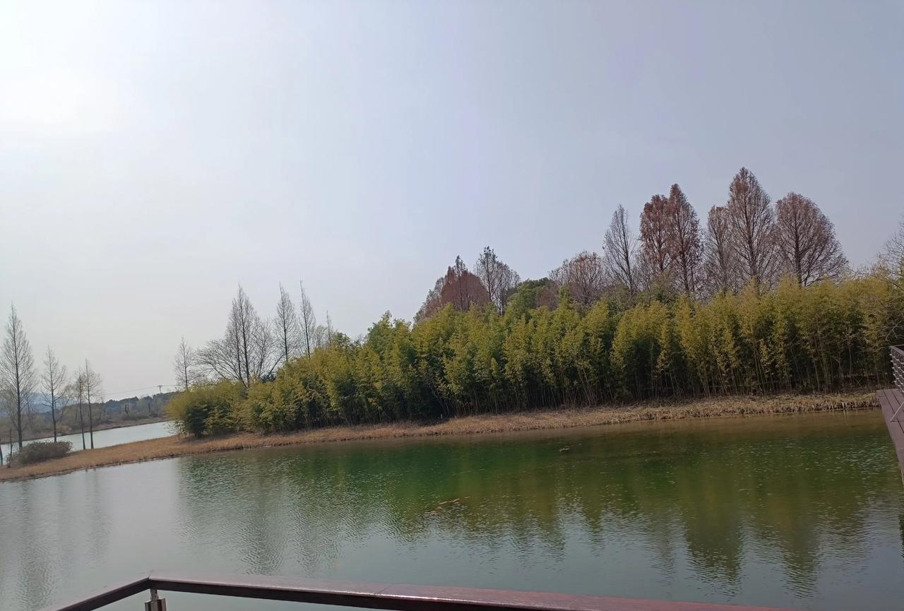 其实在职场上，真的没必要跟领导对着干！你得明白，领导也只是打工的，公司也不是他