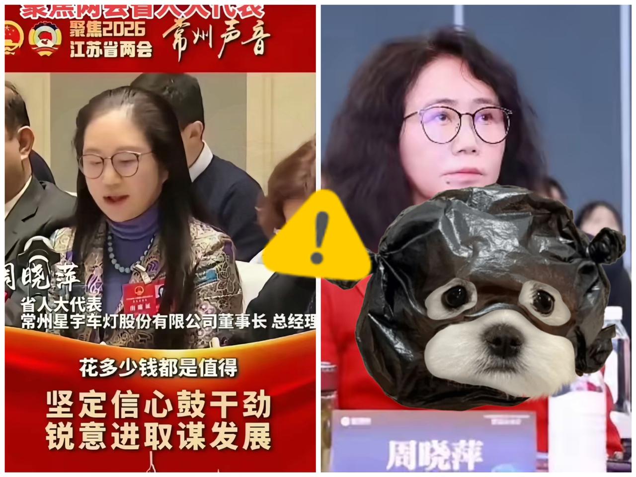 星宇股份董事长称已投诉不实报道，我们以为她是来道歉的，没想到她是来吓唬网友的。到