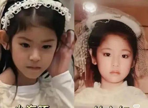 陈妍希一句话，差点“毁”了和林心如20年的交情。当时节目上，她半开玩笑指着小海