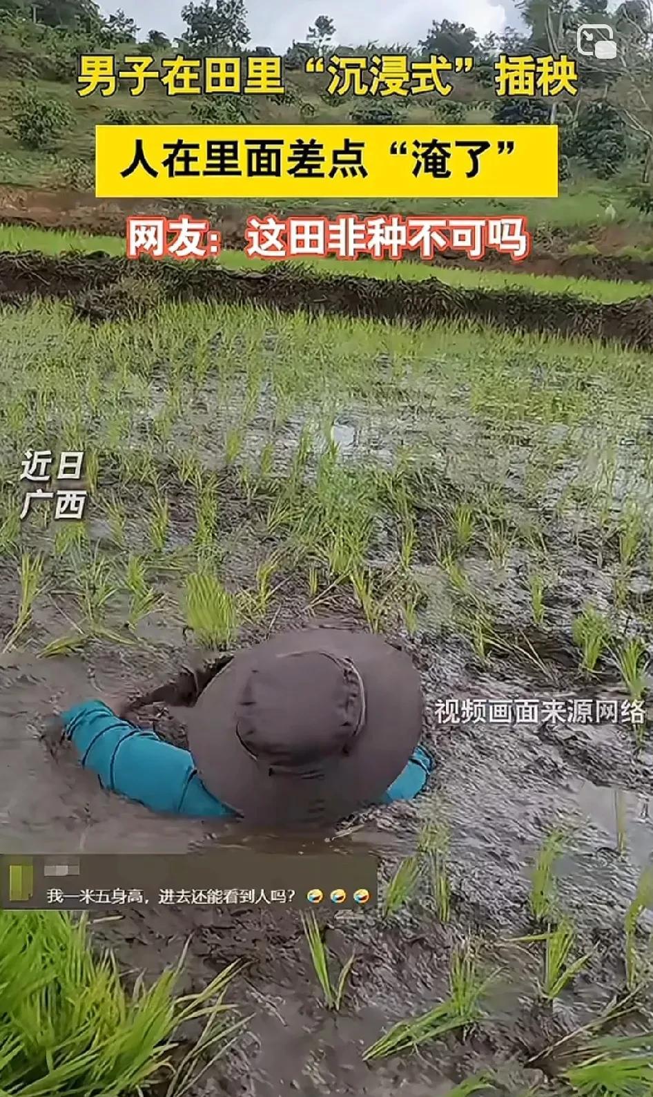 本以为第一张图是假的，没想到第二张图一群人深陷其中！咱就说这稻田非得耕的那