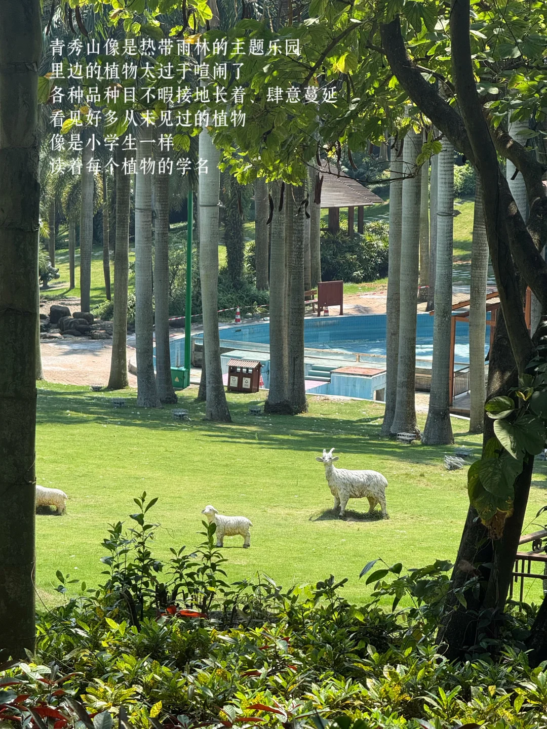 像写日记一样散步到南宁