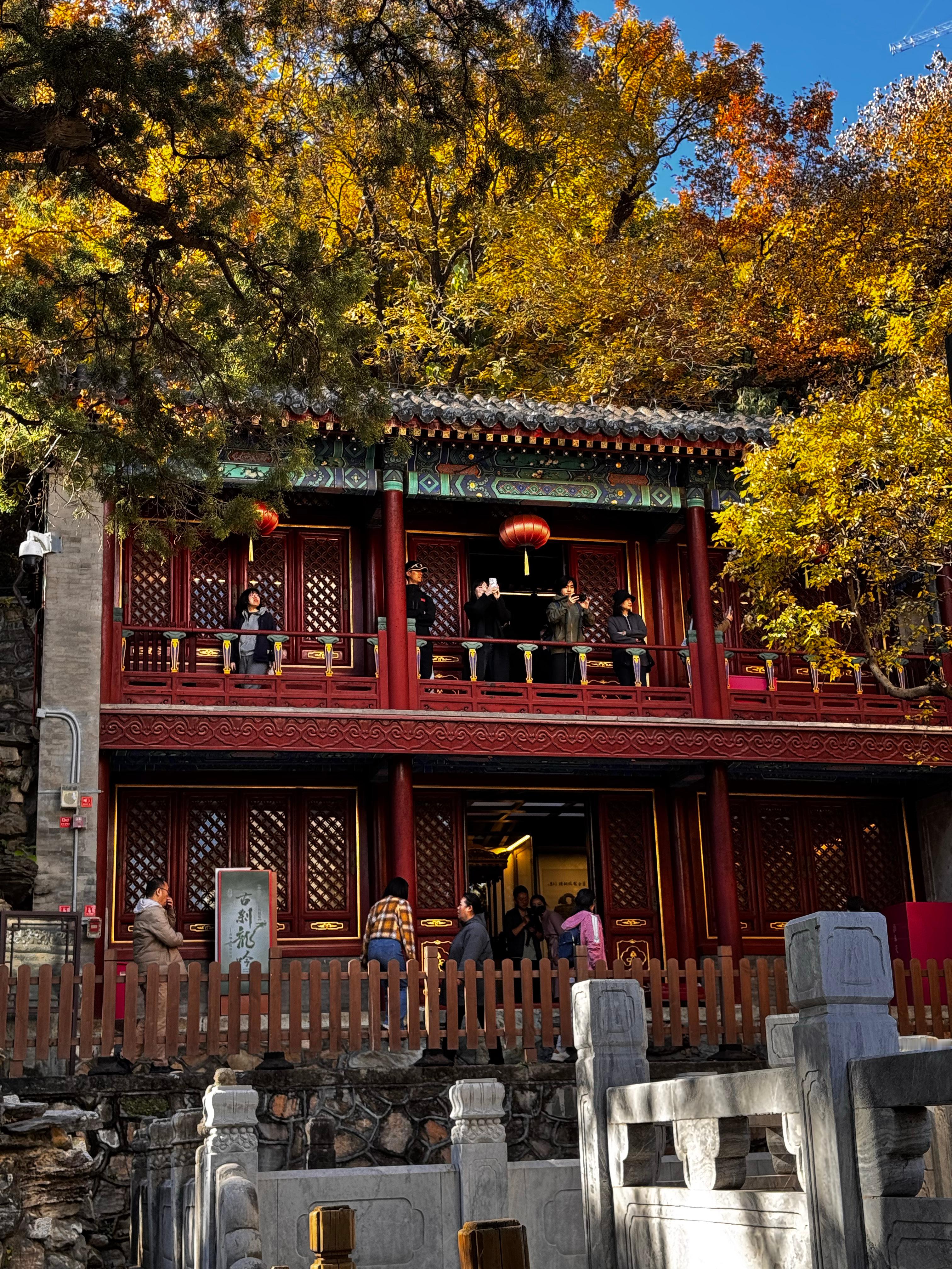 秋天的北京真的是拍照好时节。每个人都在拍照。​​​