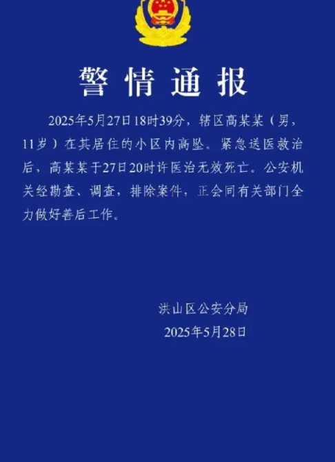 武汉一名11岁的孩子昨天跳楼身亡，很多家长都在谴责现在孩子越来越脆弱了，抗压能力