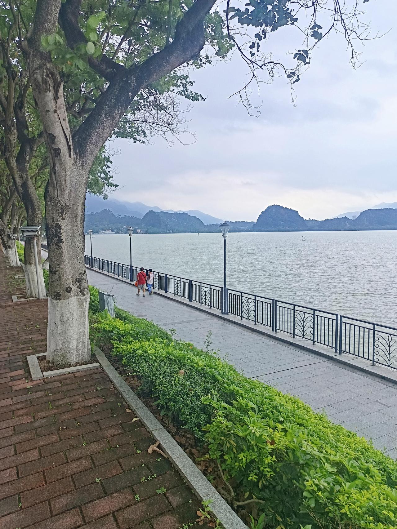 我在肇庆的星湖边发现一个很严重的问题但不知道怎么说才好你敢相信吗