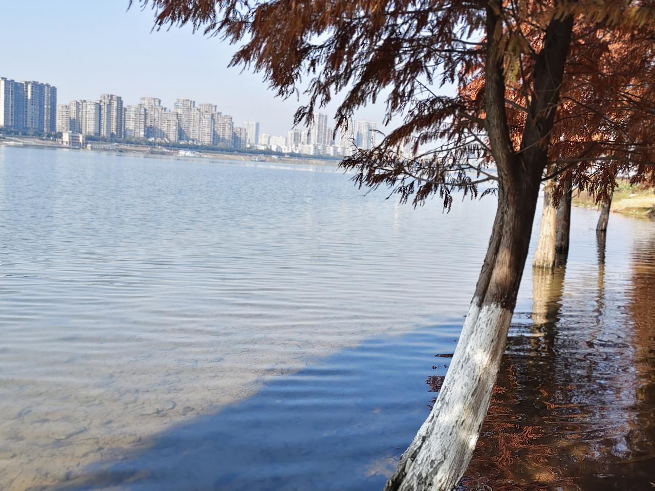 我55岁退休金2580元，后悔退休时补了社保费，没有补办职工医保我的天呐！领