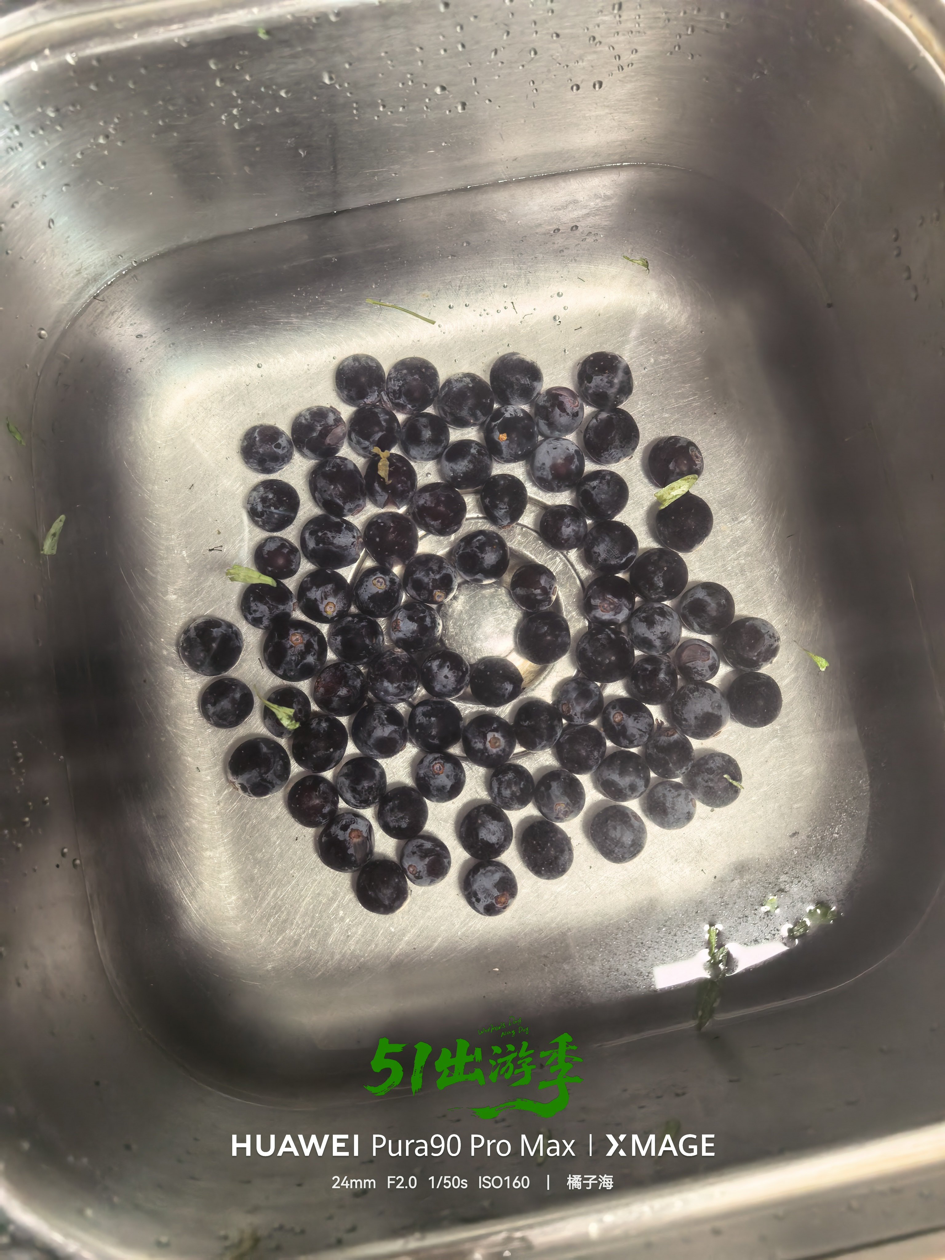 刚刚我在搞视频的时候，老板娘问我吃不吃蓝莓，我说吃点吧。然后她就马上给我用盐水泡