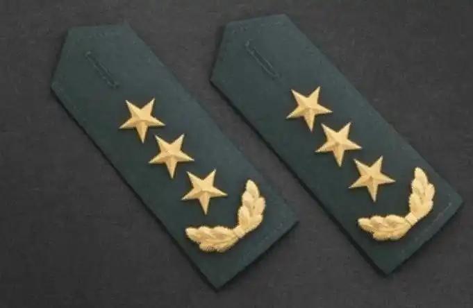 近期，军队内部大刀阔斧，陆续拿下了众多肩扛“三颗星”的“大老虎”，或许意味着军队