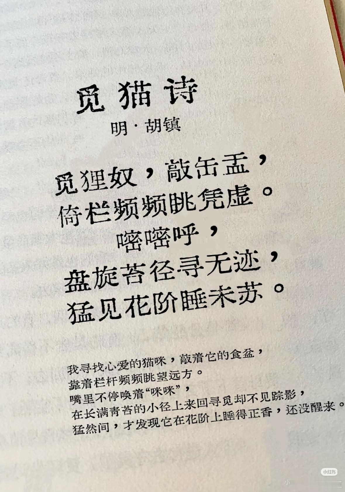 古人也叫咪咪，古代的咪咪也不爱理人