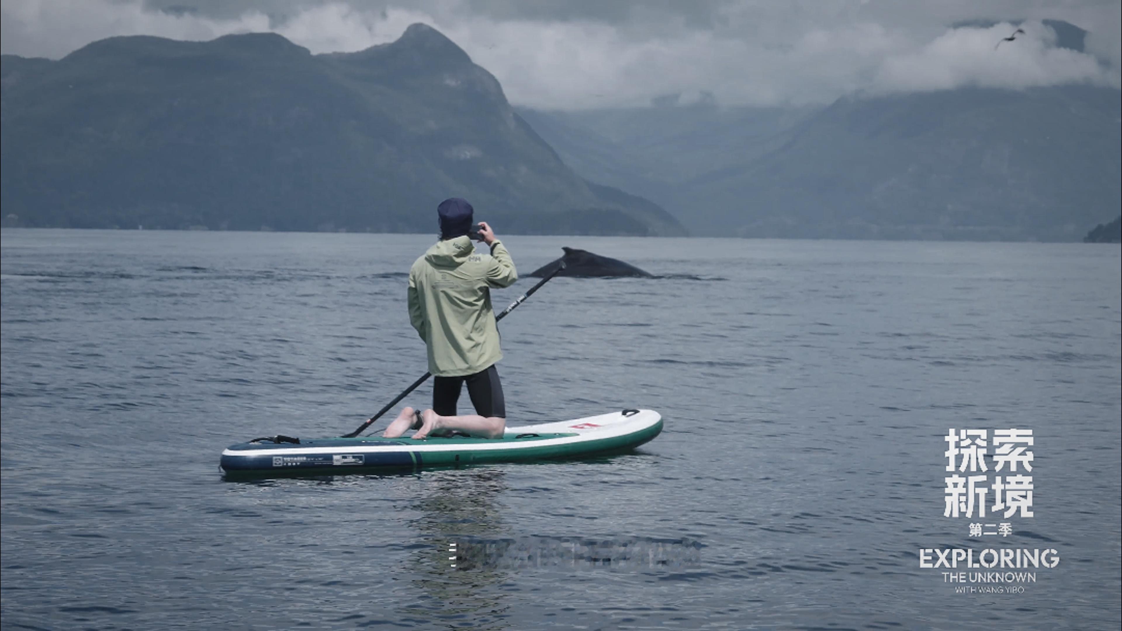 妈呀王一博在这么近的距离看到了了座头鲸！！！！！！！！！！天啦