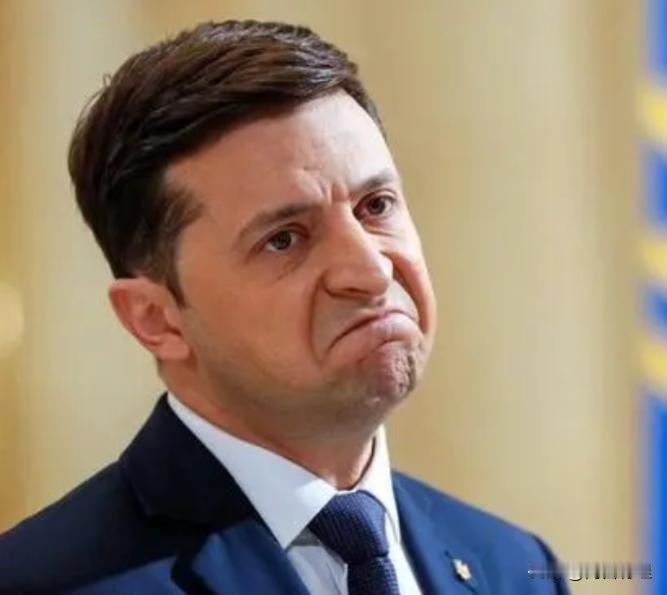 泽连斯基的“和平之旅”，主权被密室交易？当“建设性会谈”沦为递投降书的彩排