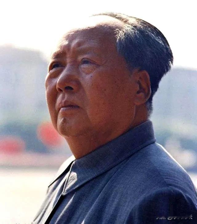 毛主席从来不反对发展经济，而是反对拉大贫富差距的经济发展，毛主席是希望走共同富裕