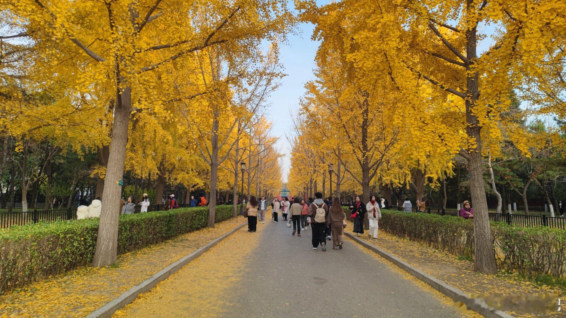 北京地坛公园秋色摄影