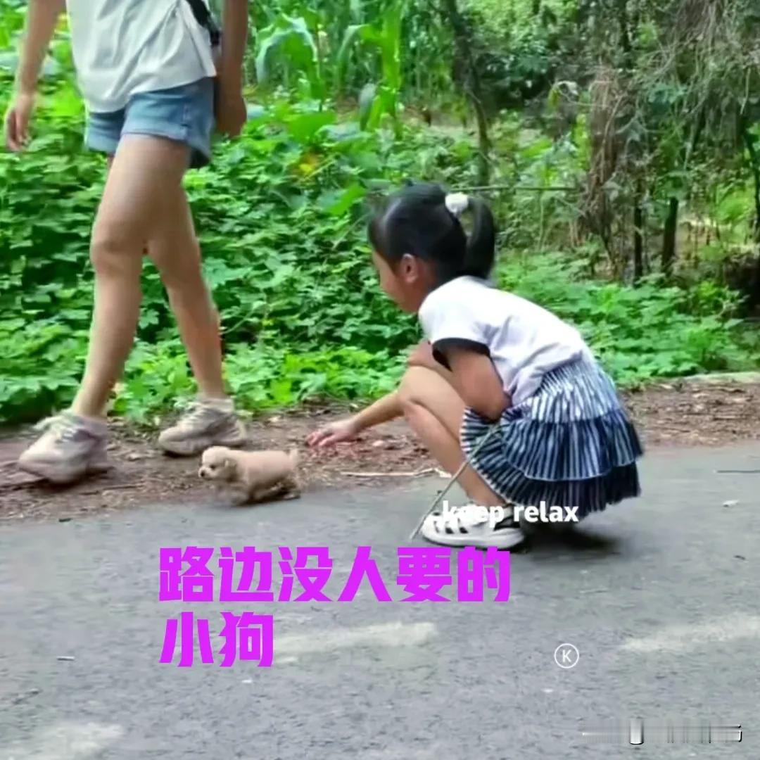 周末去夹关古镇游玩，顺便去爬了一下附近的小山。在我们返回的途中，发现路边有一只小