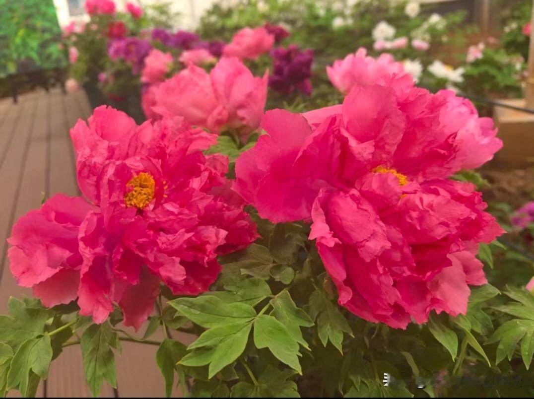 孩子顶嘴时“高情商接话”1. “你再说一句试试”换成：有情绪可以说，但不可