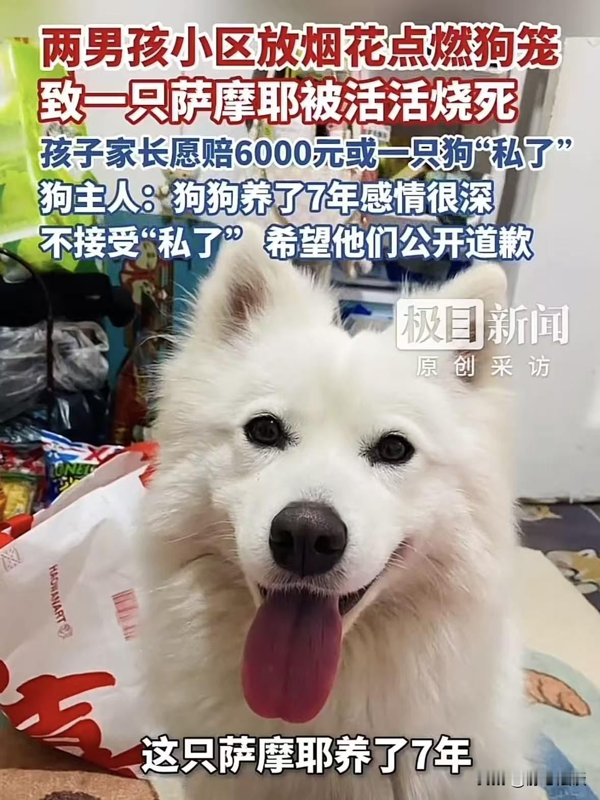 江苏连云港，两个小男孩在小区里玩烟花，然后走到一个狗笼旁，把点燃的烟花扔到一个装